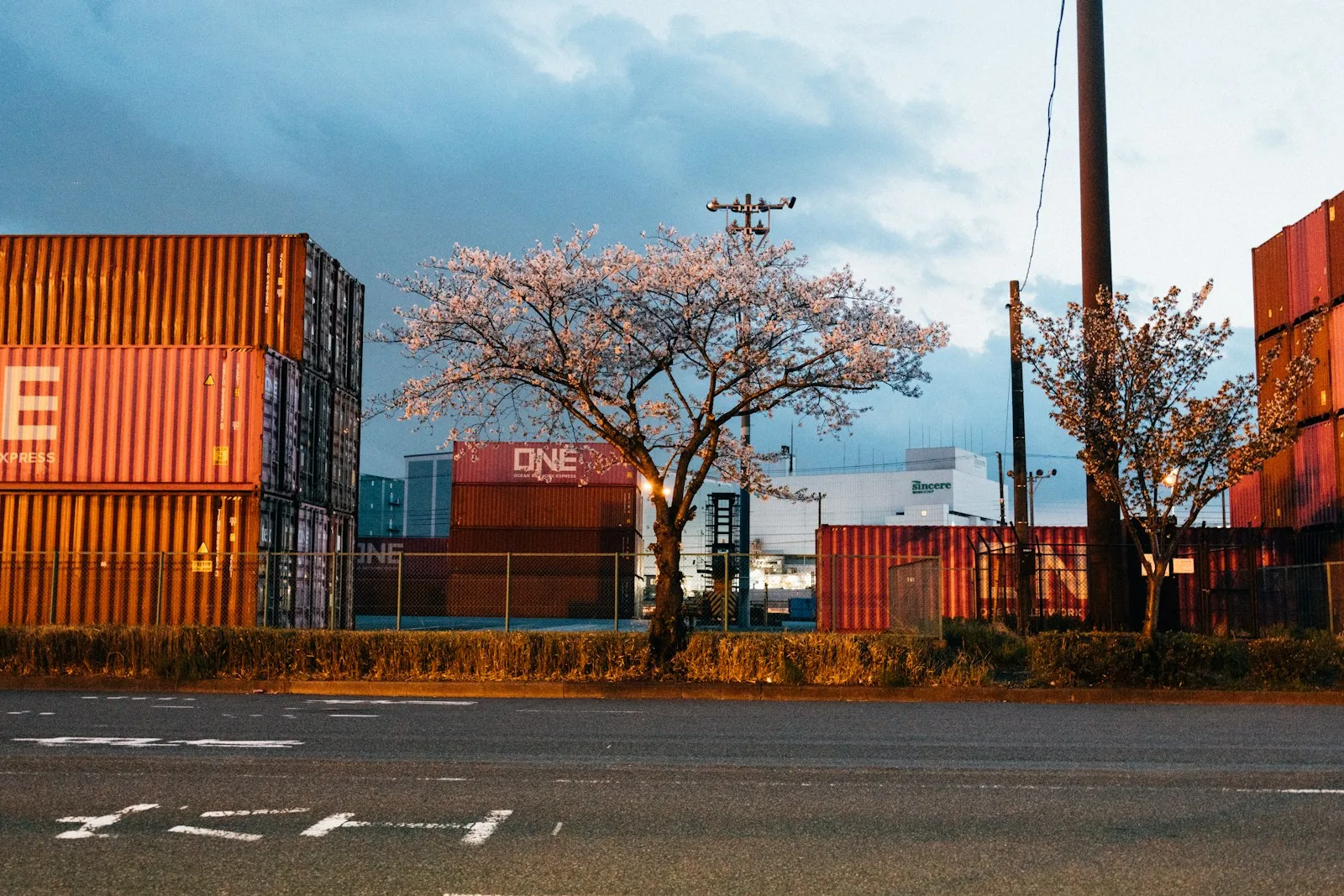 Photos of Tokyo container yards and roads